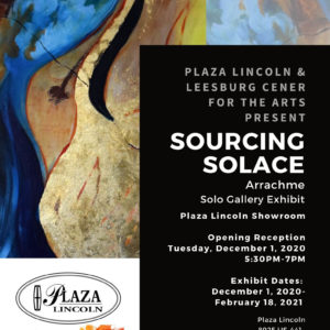 Sourcing Solace - Solo Exhibition- Leesburg Center For The Arts- Arrachme